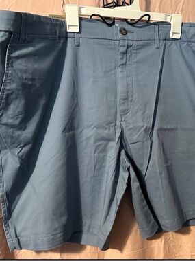 Goodfellow & Co Light Blue Flat Front Stretch Chino Shorts